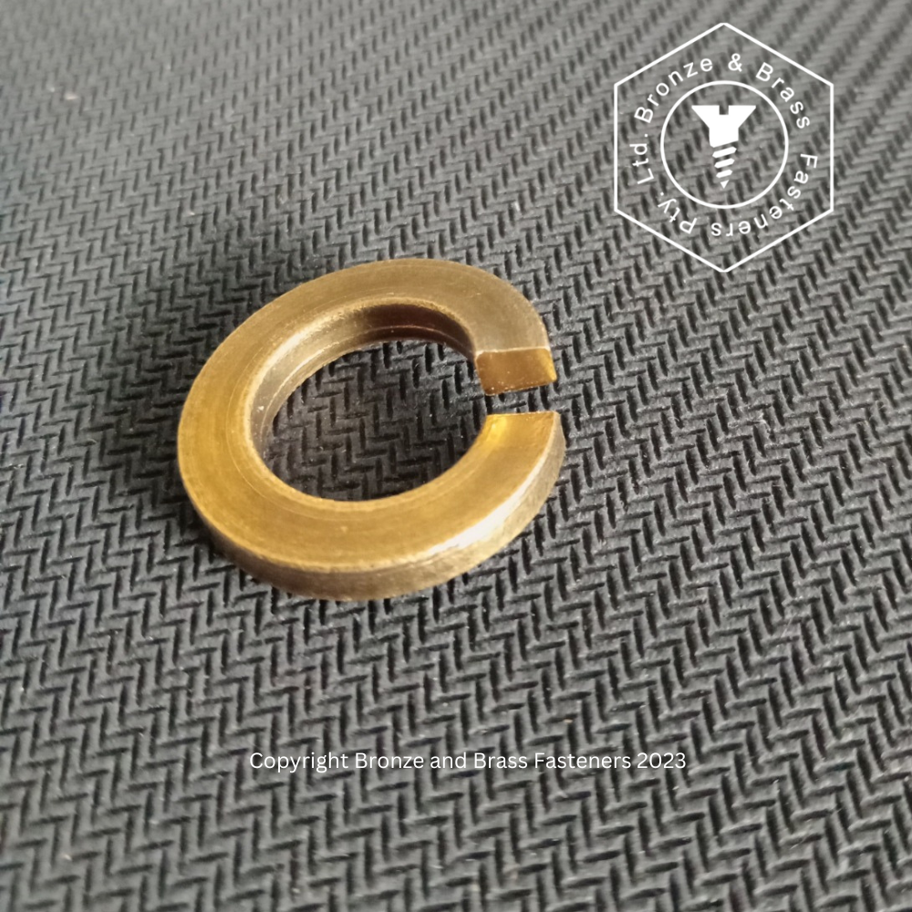 1617 - 117603 - Brass Washer Split Spring- 1/2"