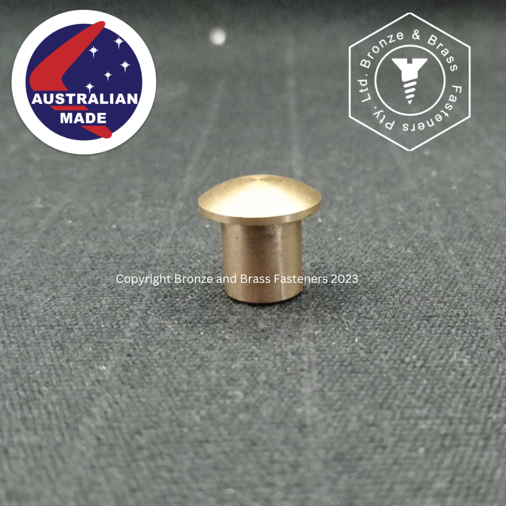 1697 - 119904 - Brass Chicago Nut - Round Head - no drive - M6-1.0