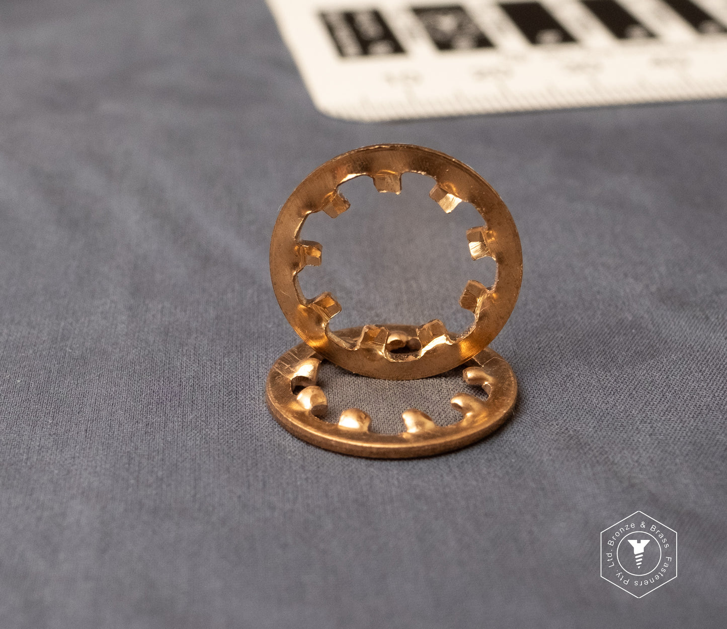 5365 -157760 - Phosphor Bronze Washer Internal Tooth- M10