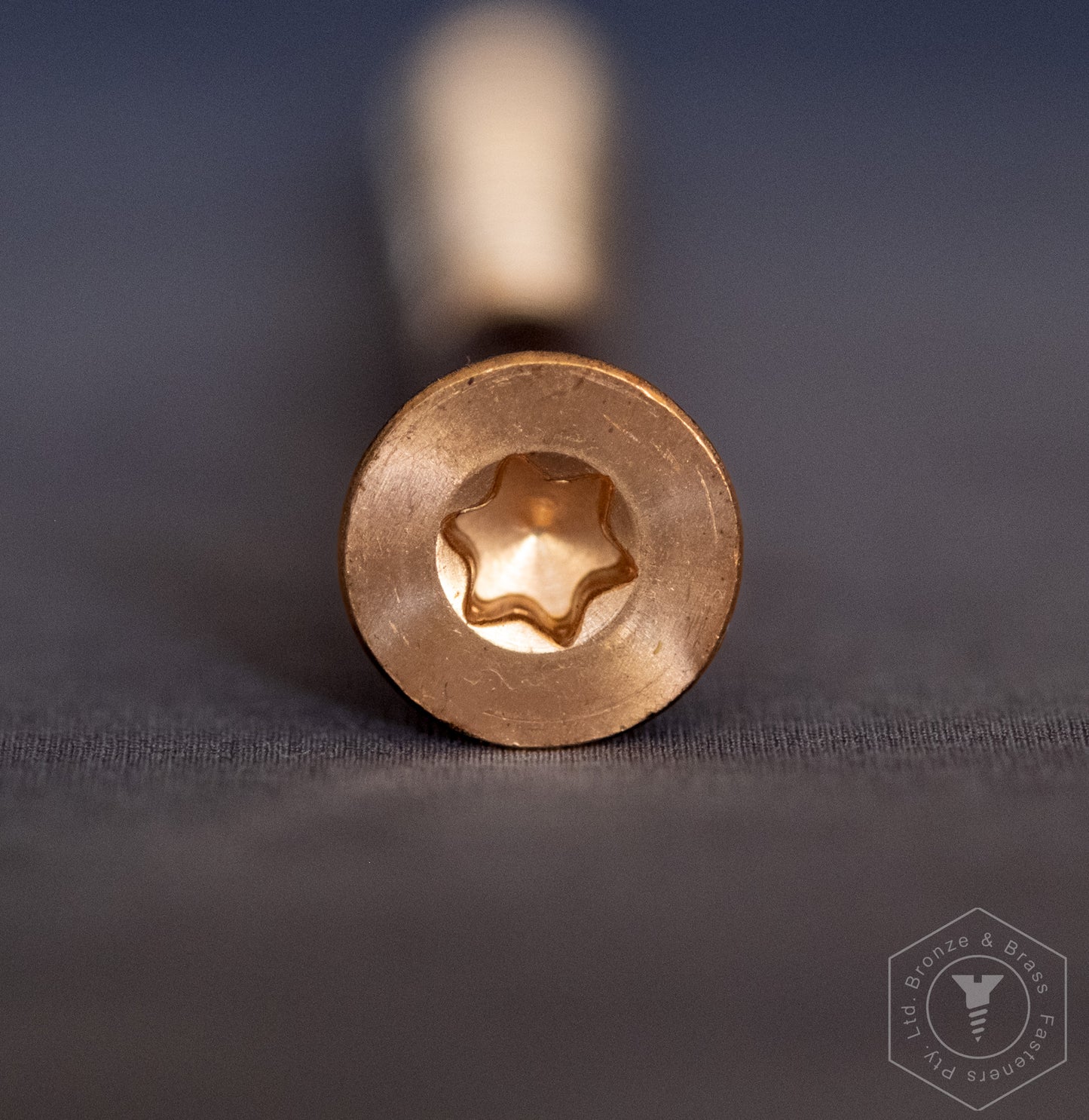 2345 - 131910 - Silicon Bronze Wood Screw TORX 20 Flat Head- 10g x 50mm