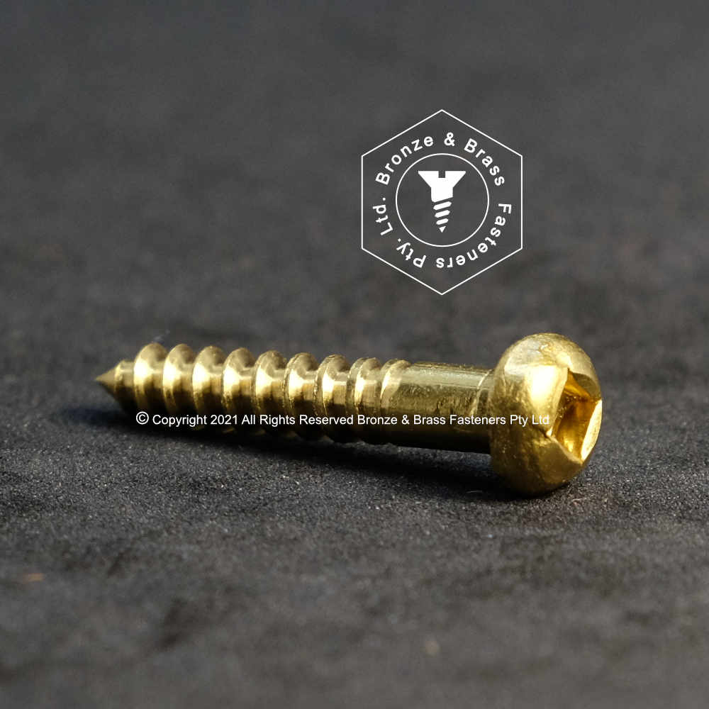 0855 - 111402 - Brass Wood Screw Square Drive Round Head- 8g x 25mm