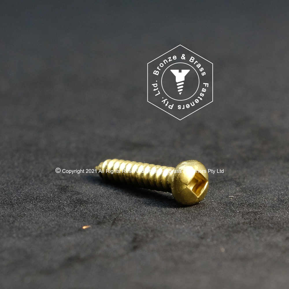 1105 - 112401 - Brass Needle Point Screw Square Drive Round Head- 6g x 25mm