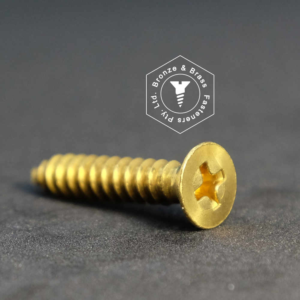 1090 - 112602 - Brass Needle Point Screw Phillips Flat Head- 8g x 25mm