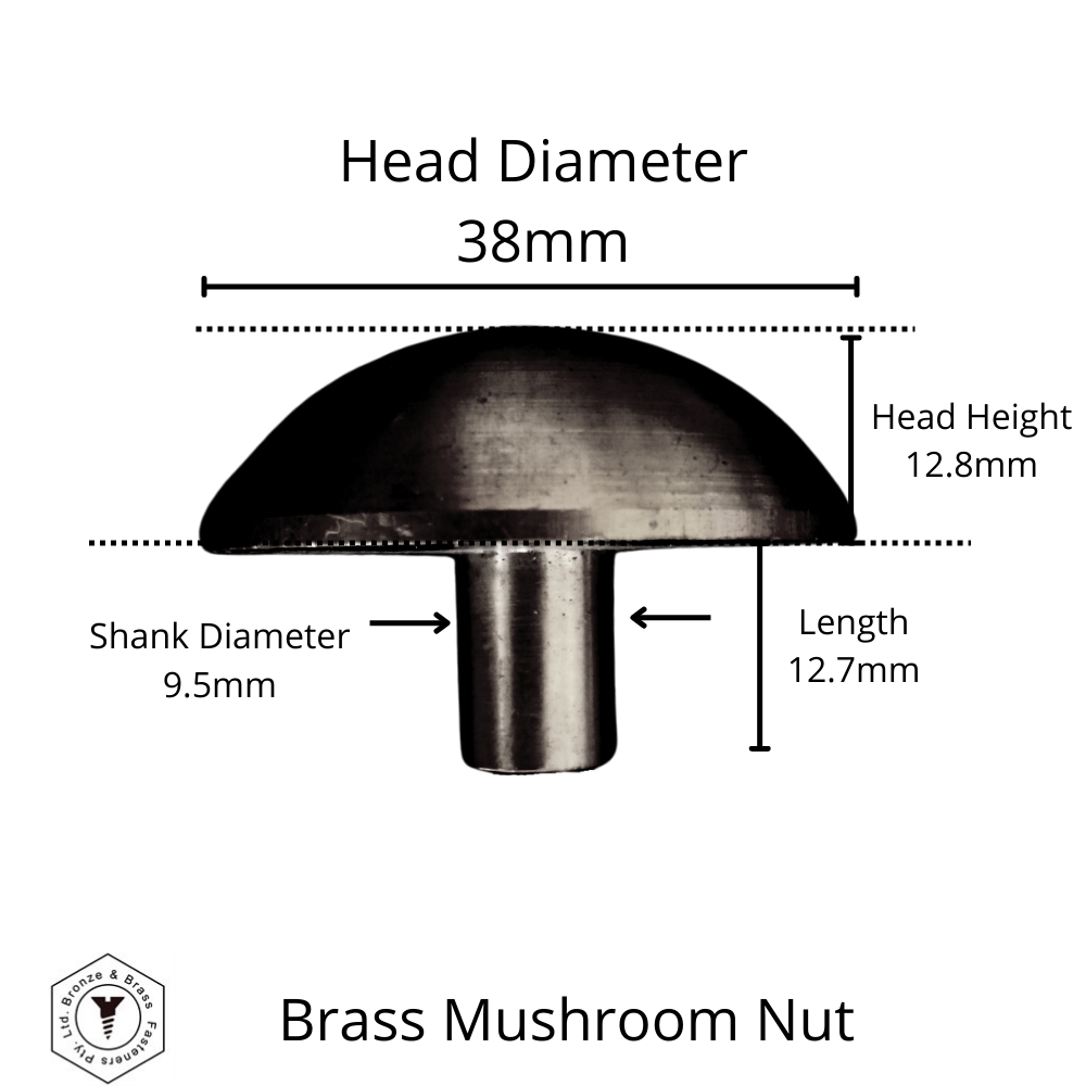 1760 - 119900 - Brass Nut Mushroom- 38mm Head x 1/4-20 UNC Internal Thread