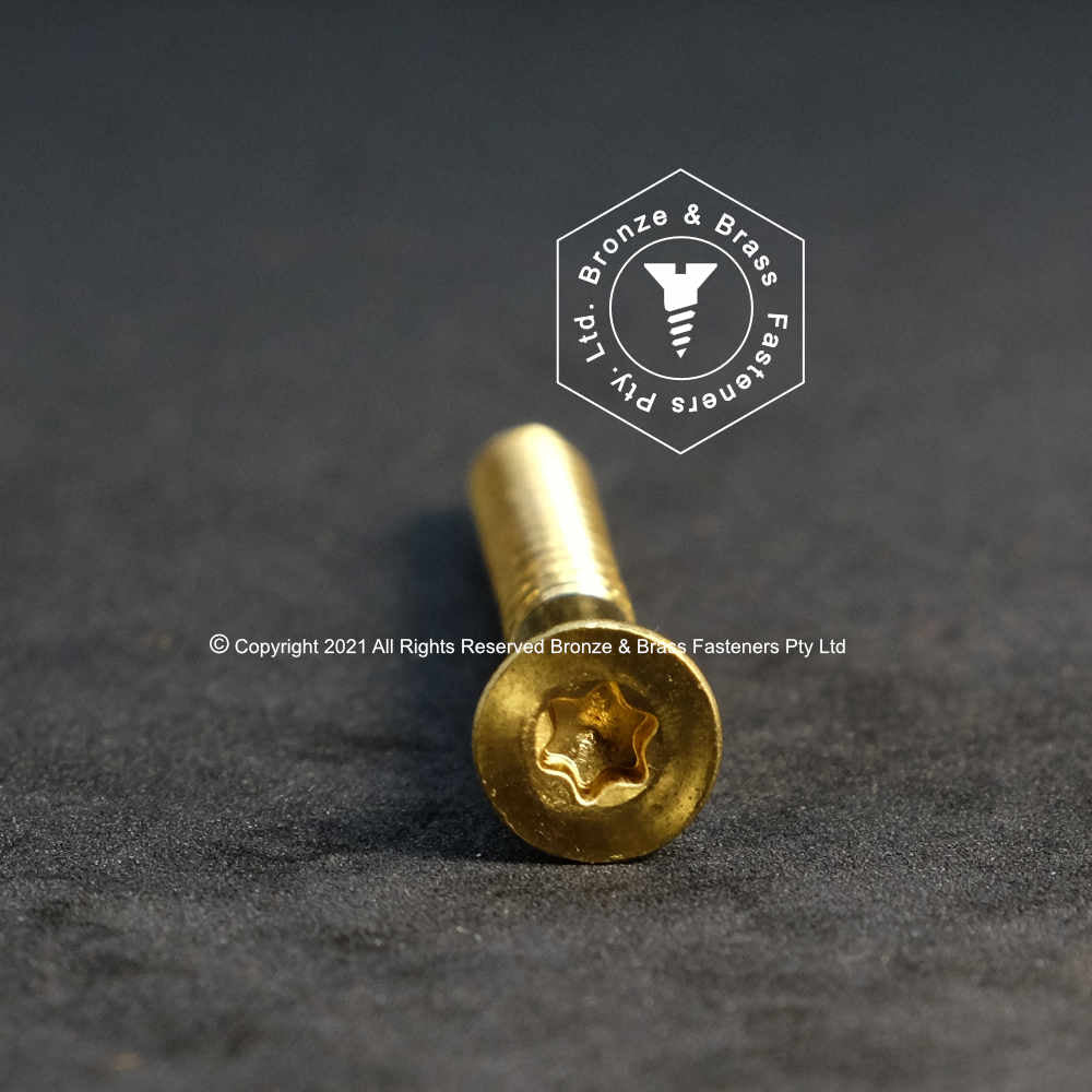 Torx Drive Countersunk