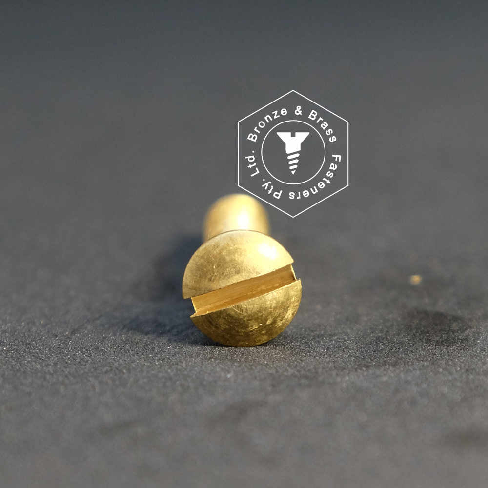 0570 - 111230 - Brass Wood Screw Slotted Oval Head- 3g x 19mm