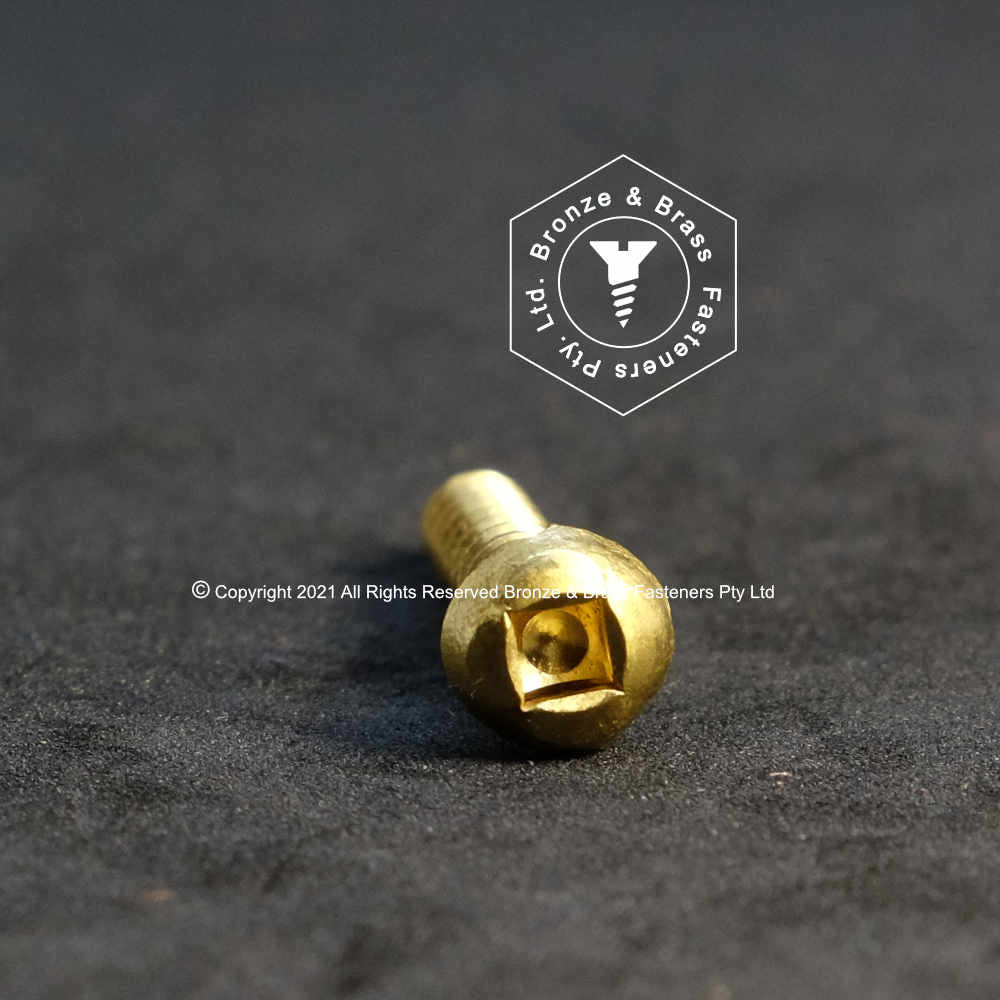 0860 - 111403 - Brass Wood Screw Square Drive Round Head- 8g x 38mm