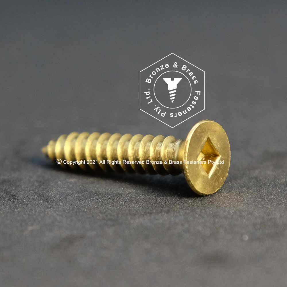 1145 - 112302 - Brass Needle Point Screw Square Drive Flat Head- 10g x 25mm