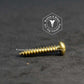 1100 - 112400 - Brass Needle Point Screw Square Drive Round Head- 6g x 19mm