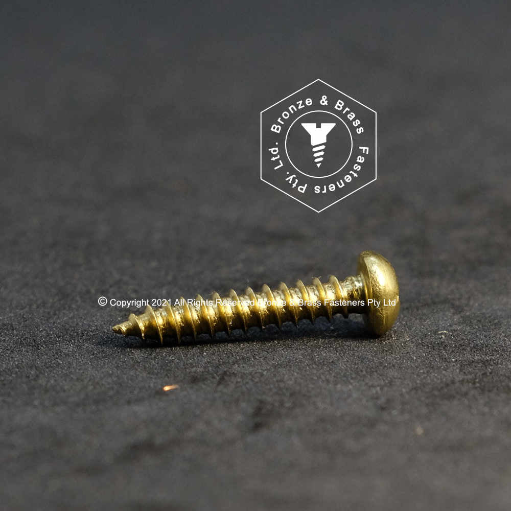 1100 - 112400 - Brass Needle Point Screw Square Drive Round Head- 6g x 19mm