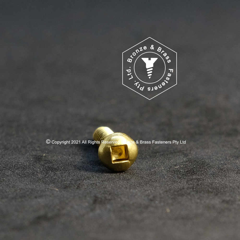1100 - 112400 - Brass Needle Point Screw Square Drive Round Head- 6g x 19mm