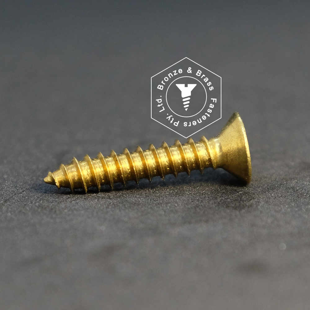 1080 - 112600 - Brass Needle Point Screw Phillips Flat Head- 5g x 16mm