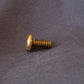 1497 -113310 - Brass Machine Screw Slotted Pan Head - M3 x 5mm
