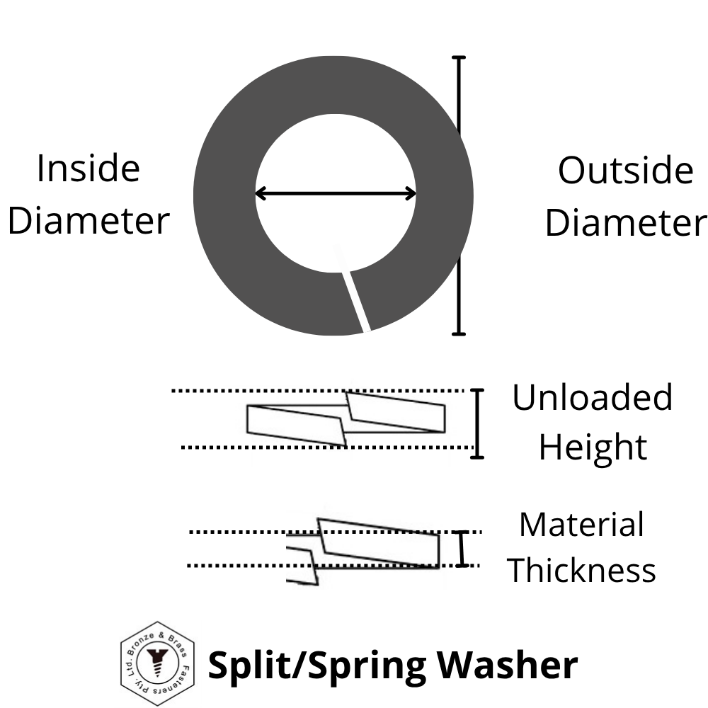 1541 - 117606 - Brass Spring Washer - M6