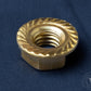 1606- 116901 - Brass Nut Hex Flange- 1/4 - 20 UNC