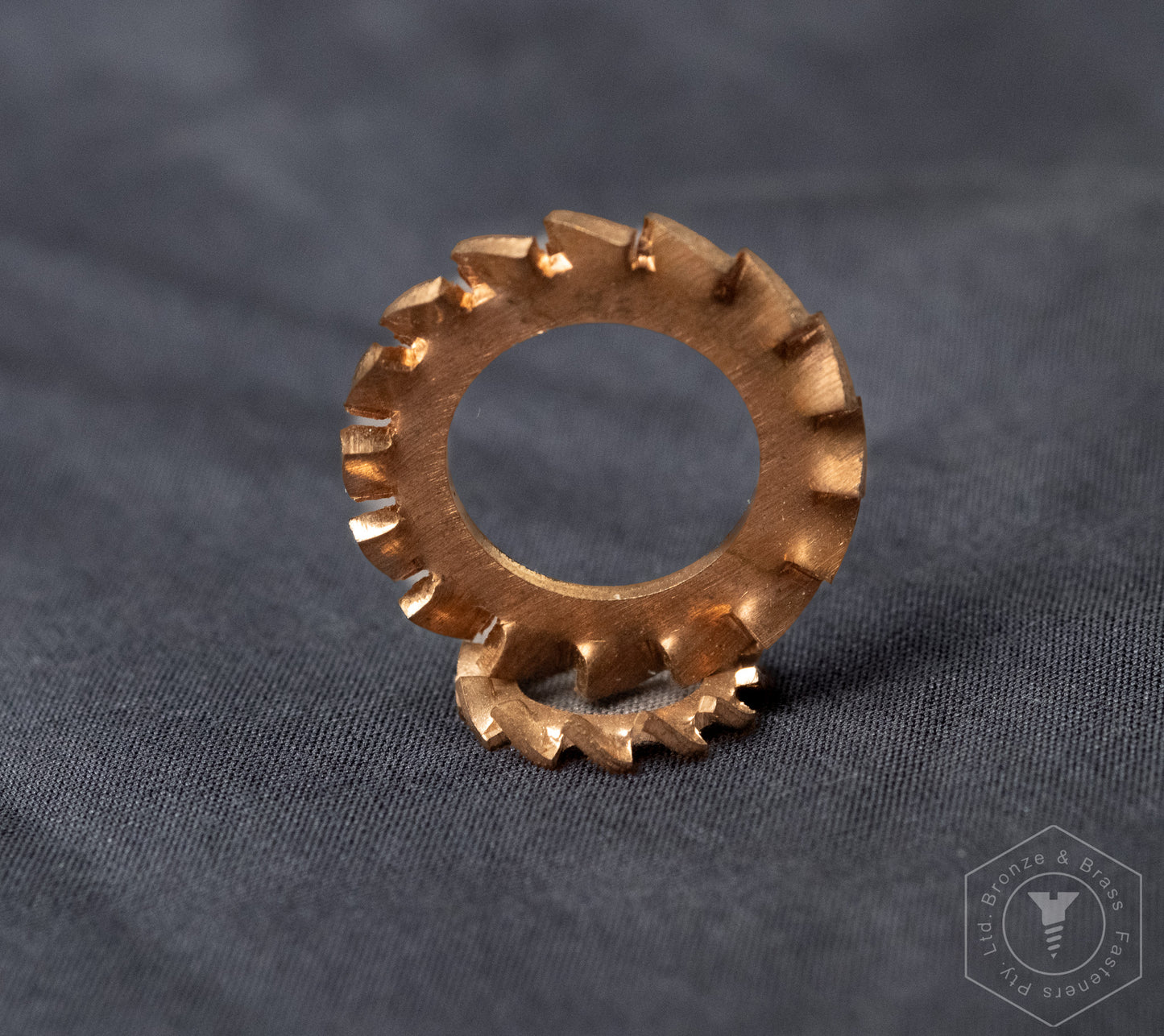 5340 -157702 - Phosphor Bronze Washer External Tooth- M8