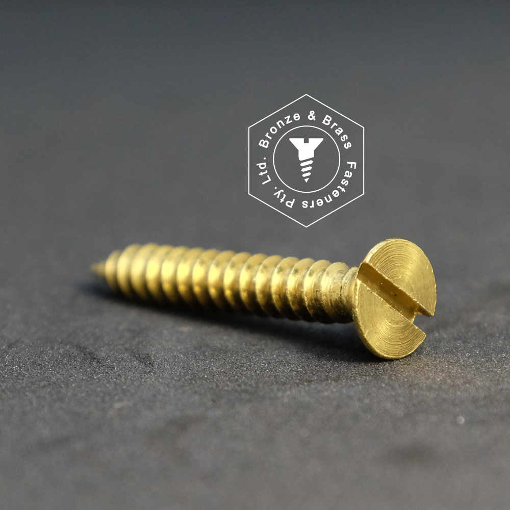1155 - 112102 - Brass Needle Point Screw Slotted Flat Head- 10g x 32mm