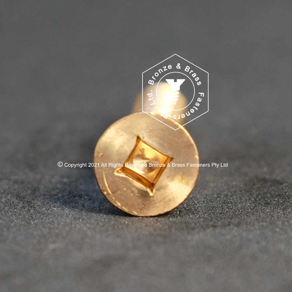 2365 - 131301 - Silicon Bronze Wood Screw Square Drive Flat Head- 6g x 19mm