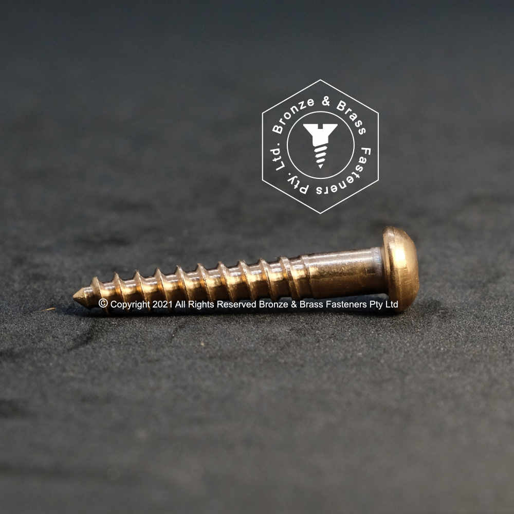 2575 - 131404 - Silicon Bronze Wood Screw Square Drive Round Head- 8g x 32mm