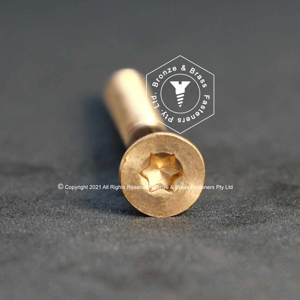2350 - 131913 - Silicon Bronze Wood Screw TORX 20 Flat Head- 10g x 63mm