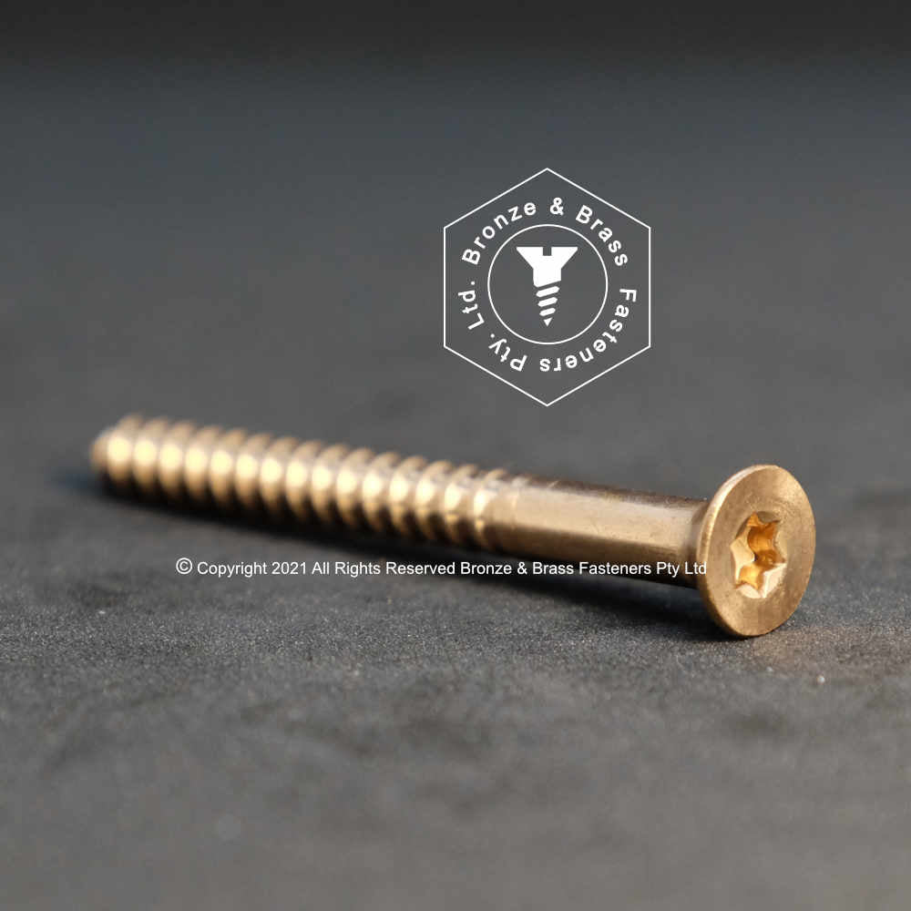 2350 - 131913 - Silicon Bronze Wood Screw TORX 20 Flat Head- 10g x 63mm